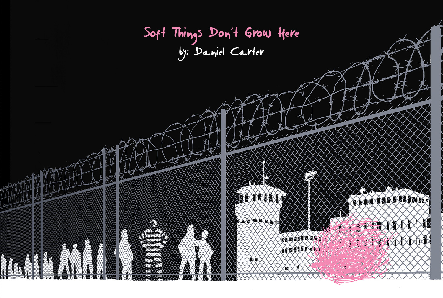 Soft Things Don't Grow Here, by Daniel Carter